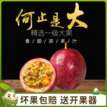广西现yn紫皮大果鸡wl季新鲜2斤包邮整箱