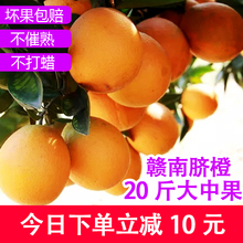 江西赣yo脐橙 新鲜ji果超甜多汁橙子10斤装赣州产地现摘现发