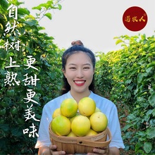 海南黄yz5斤净果一ke特别甜新鲜包邮 树上熟现摘