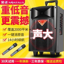 客厅音za音箱简约户pe车大功率服装店舞台20寸发光室内立式。