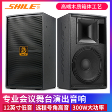 KTVza业音箱舞台pe庭卡拉OK舞蹈教室全频高档音响狮乐BM99-12
