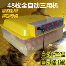 自动型zg蛋机孵蛋器wq浮化机付化器孚伏(小)鸡机器孵化箱