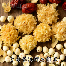 云南普zg纯正大山 wq雪耳白木耳糯耳 胜古田通江