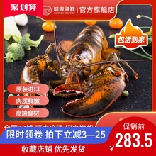 【龙虾zh波士顿鲜活si龙澳龙海鲜水产大活虾【送鲍鱼】