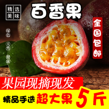 云南特zh大果5斤新ui紫皮果酱现摘特级10一级2整箱包邮