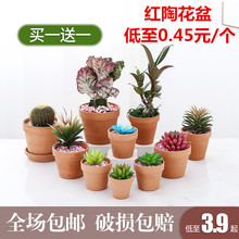 清仓红zn多肉(小)育苗zd陶土陶瓷泥瓦盆矮盆大口径特价包邮