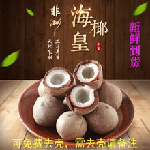新鲜天zw非洲海椰皇jj帮去壳椰青(小)煲汤食材500g包邮